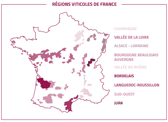 Chambres d'hôtes dégustation vins